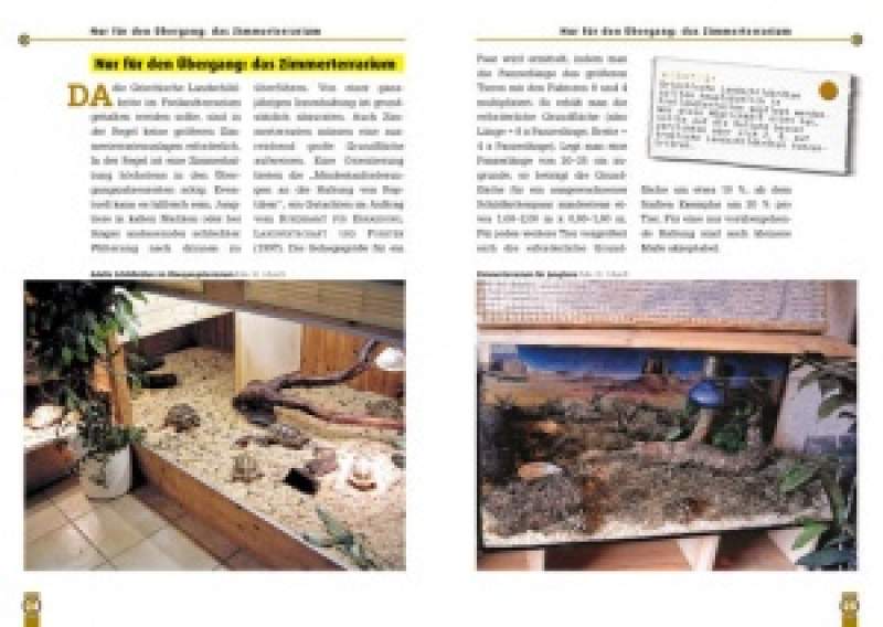 Preview: Die Griechische Landschildkröte